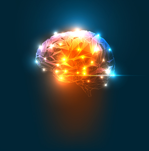 Brain geometric shapes vector illustration 07