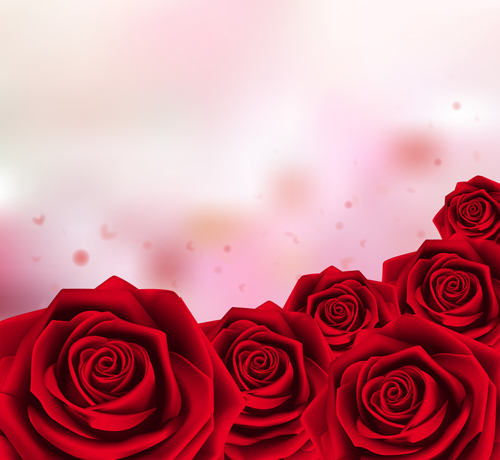 Red rose with pink background vector 01 Red rose with pink background vector 01