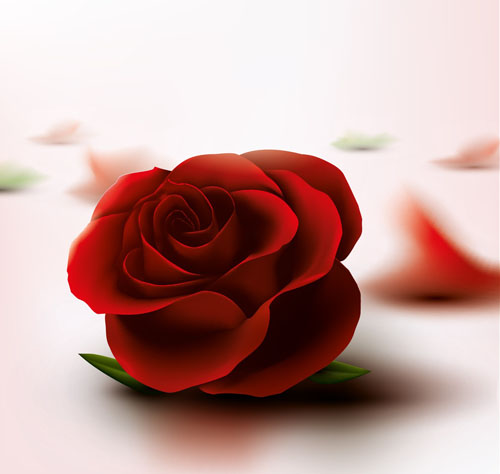 Red rose with pink background vector 02 Red rose with pink background vector 02