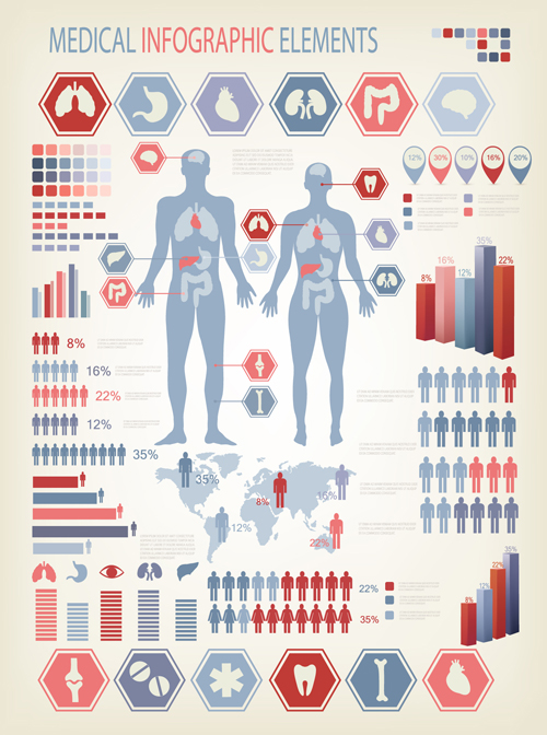 Human health infographics vector material 01 Human health infographics vector material 01