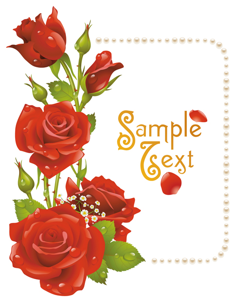 Red rose with pearl background vector Red rose with pearl background vector