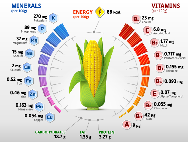 vitamins infographics corn 