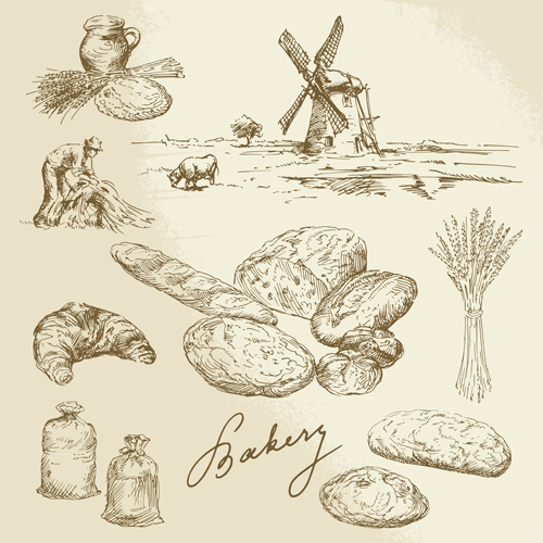 Drawing foods retro illustrations vector 10 Drawing foods retro illustrations vector 10