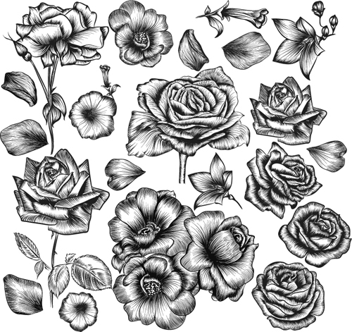 Hand drawn flower vector material Hand drawn flower vector material