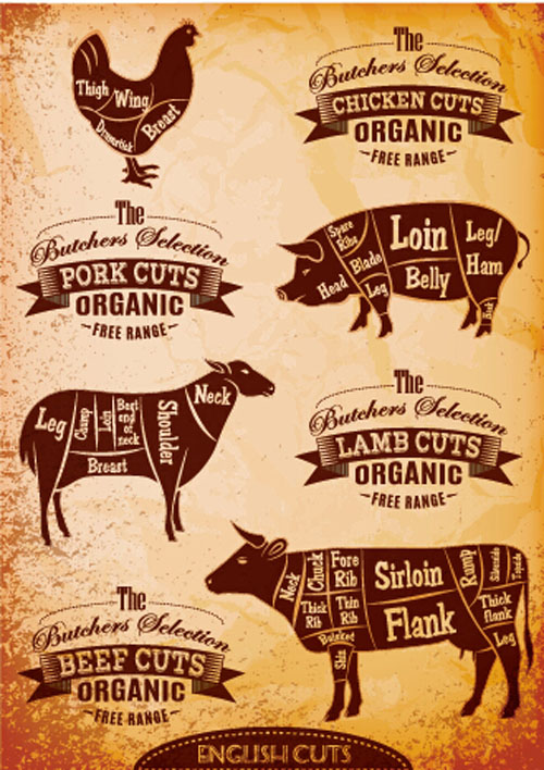 butchers cuts labels vector material 02 butchers cuts labels vector material 02