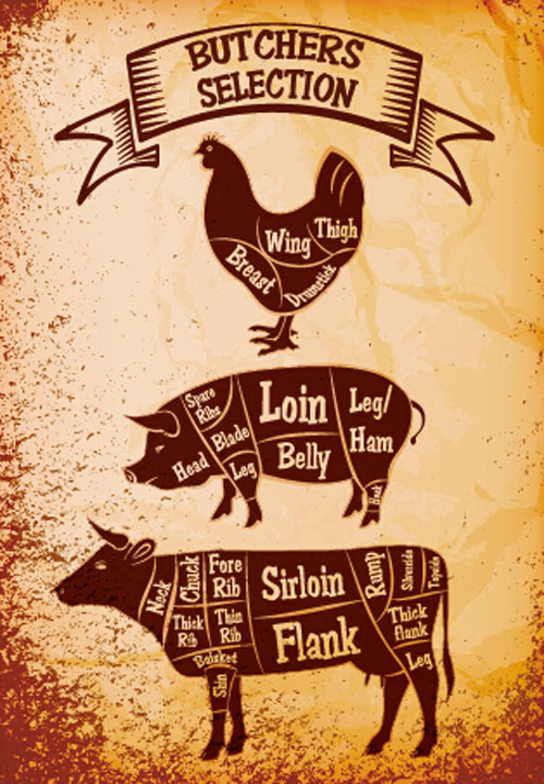 butchers cuts labels vector material 03 butchers cuts labels vector material 03