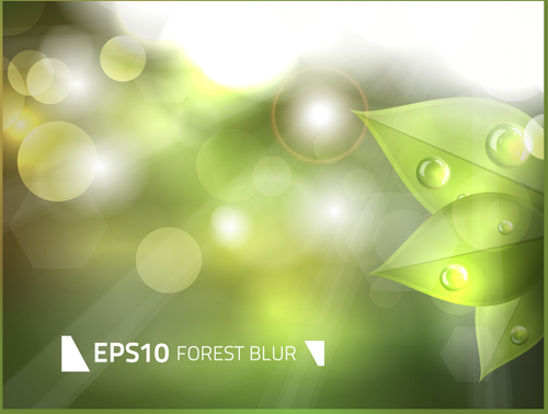 Leaf with light shiny background vector 01 Leaf with light shiny background vector 01