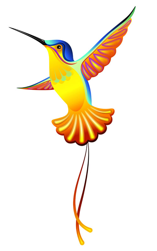 Cute hummingbird vector 01 Cute hummingbird vector 01