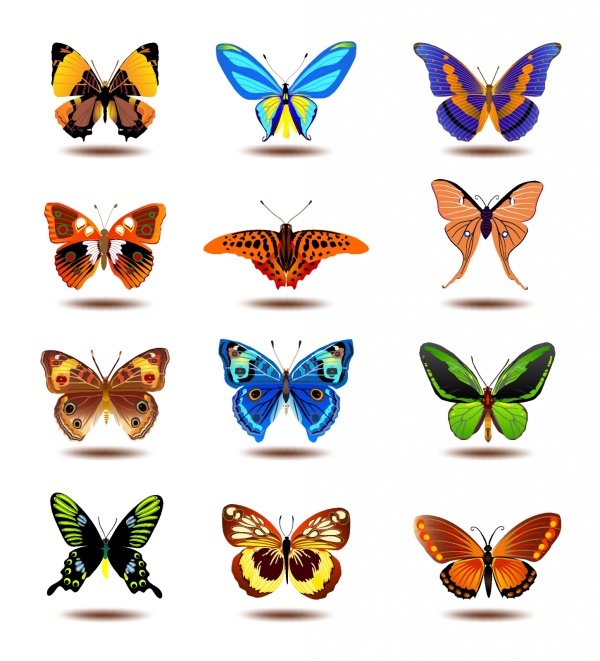 Beautiful butterflies vectors set Beautiful butterflies vectors set
