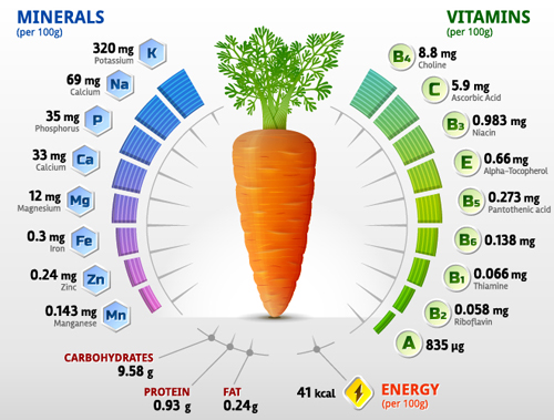 Carrot vitamins infographics vector Carrot vitamins infographics vector