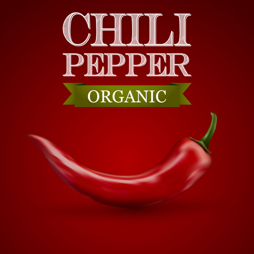 Organic chili pepper poster vector 01 Organic chili pepper poster vector 01