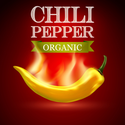Organic chili pepper poster vector 03 Organic chili pepper poster vector 03