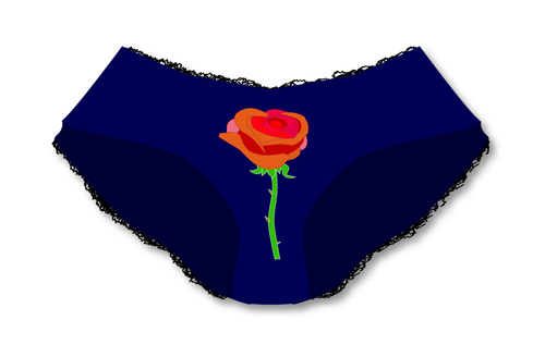 Woman knickers vectors set 04