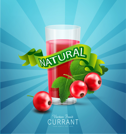 Currant juice nature vector Currant juice nature vector