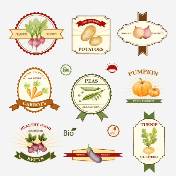 vegetables labels graphics creative 