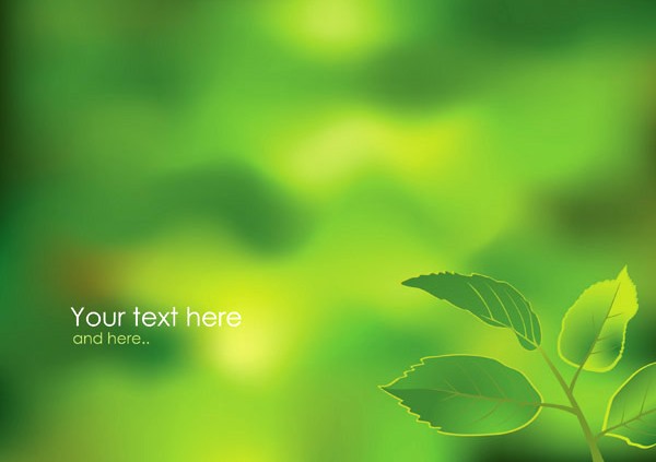 Fresh colorful leaves background vector