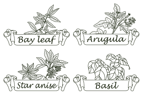 Hand drawn herbs and spices labels vector 03 Hand drawn herbs and spices labels vector 03