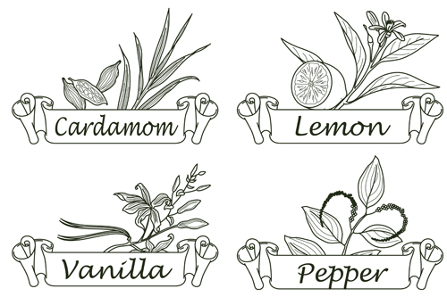 Hand drawn herbs and spices labels vector 06 Hand drawn herbs and spices labels vector 06