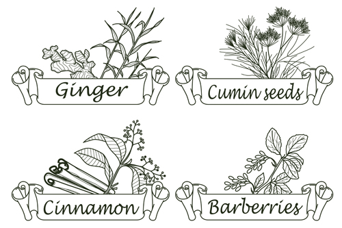 Hand drawn herbs and spices labels vector 09 Hand drawn herbs and spices labels vector 09