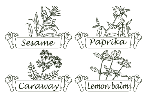 Hand drawn herbs and spices labels vector 10 Hand drawn herbs and spices labels vector 10