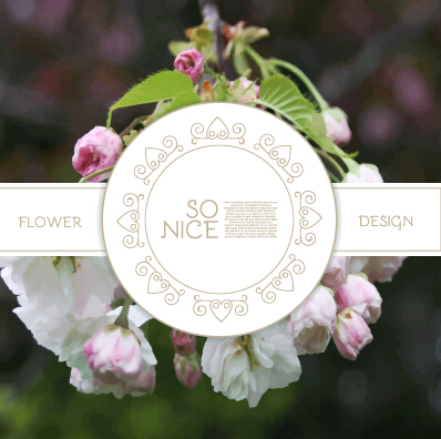 Labels with flower blurs background vector 05