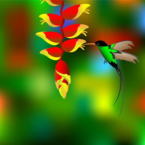 Flower with hummingbird vector material Flower with hummingbird vector material