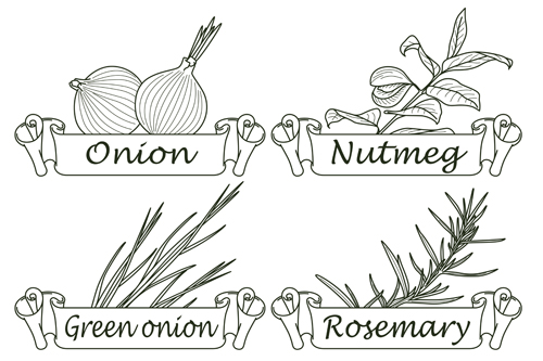 Hand drawn herbs and spices labels vector 02 Hand drawn herbs and spices labels vector 02