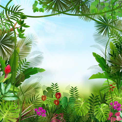 tropical scenery graphics beautiful 