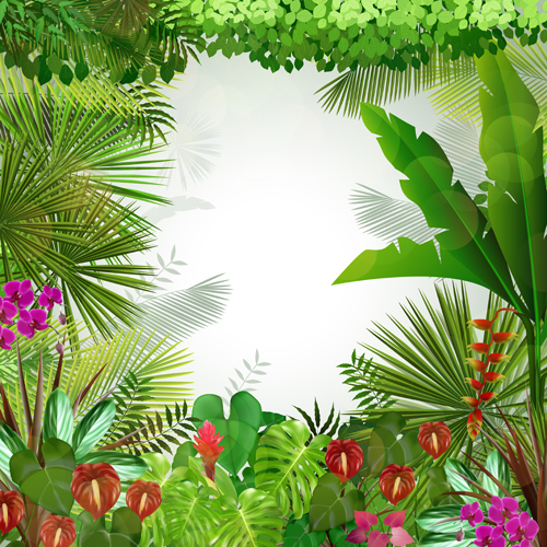 Beautiful tropical scenery vectors graphics 03