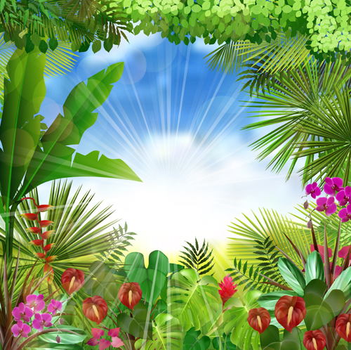 Beautiful tropical scenery vectors graphics 04