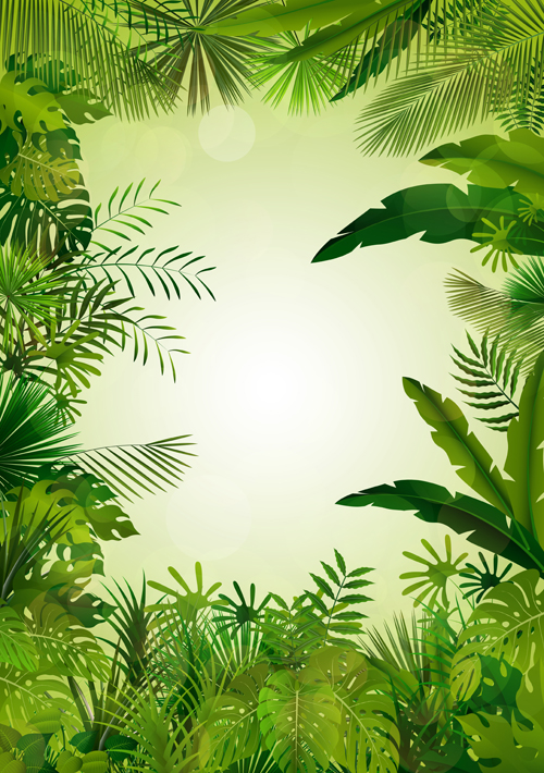 Beautiful tropical scenery vectors graphics 05