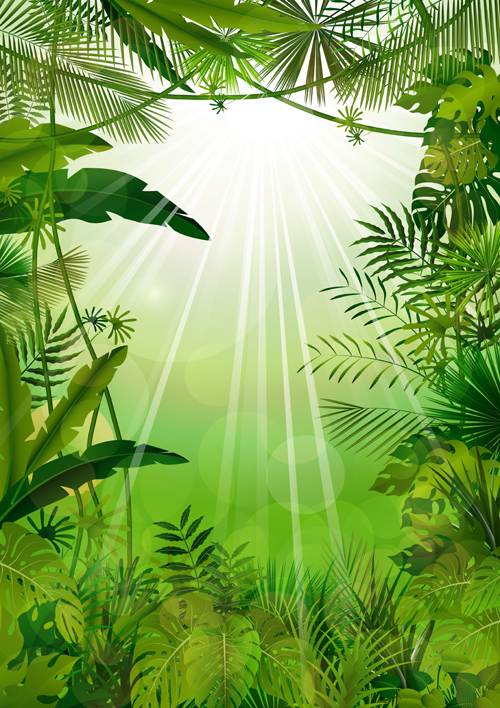 Beautiful tropical scenery vectors graphics 06