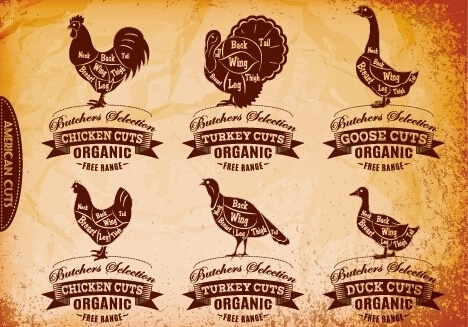 Poultry cuts labels vector material Poultry cuts labels vector material