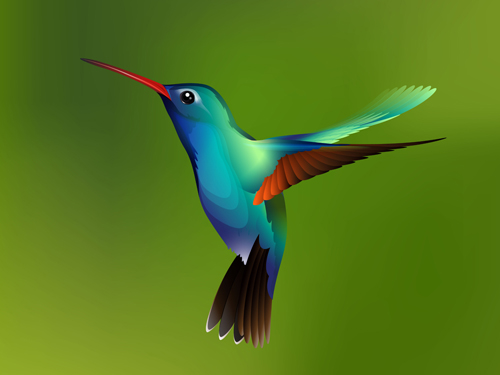 watercolor hummingbird 