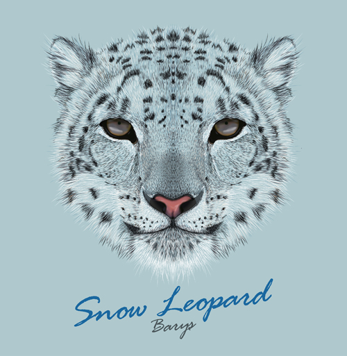 Beautiful snow leopard vector background Beautiful snow leopard vector background