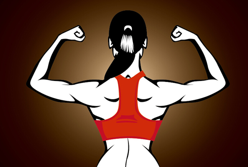 Back muscle woman vector Back muscle woman vector