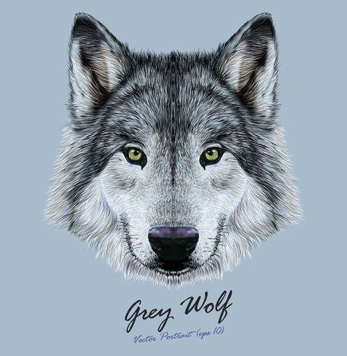 Vivid dog face background vector 01