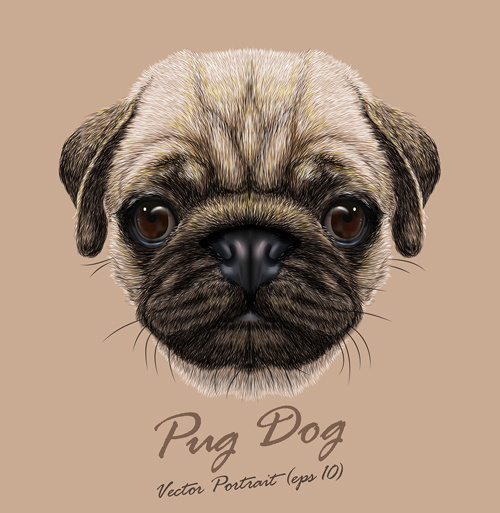 Vivid dog face background vector 02 Vivid dog face background vector 02