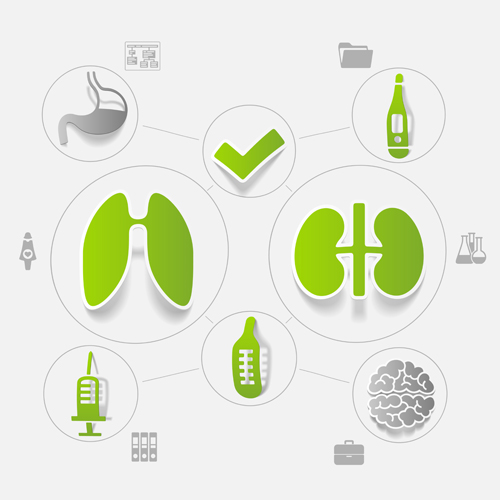 Medicine infographic with sticker vector set 11