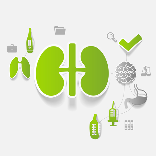 Medicine infographic with sticker vector set 15 Medicine infographic with sticker vector set 15
