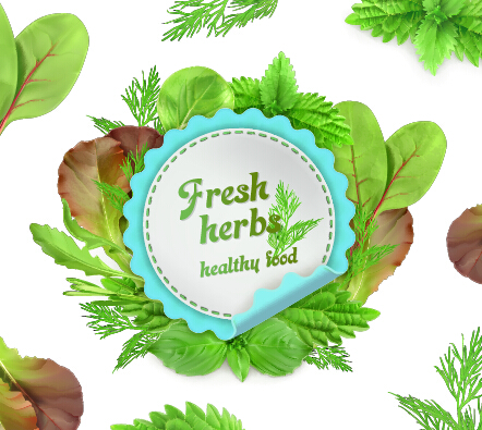 Fresh herbs labels with vector illustration Fresh herbs labels with vector illustration
