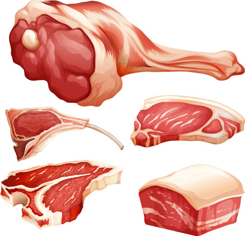 Fresh meats vector material Fresh meats vector material