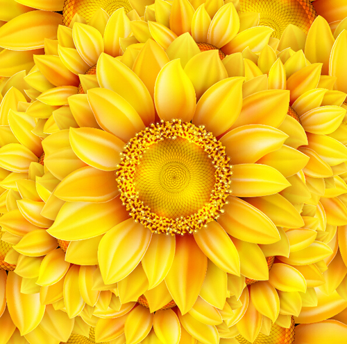 Gloden sunflower vector background 02 Gloden sunflower vector background 02