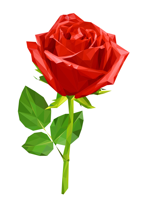 Red rose realitic vector 03 Red rose realitic vector 03