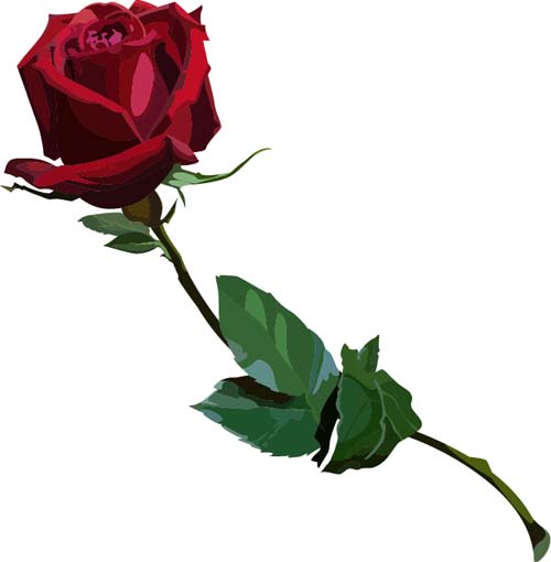 Red rose realitic vector 04 Red rose realitic vector 04