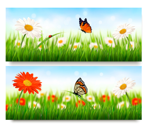 Summer grass with flower vector banners 01 Summer grass with flower vector banners 01