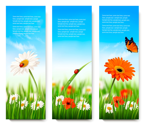 Summer grass with flower vector banners 02 Summer grass with flower vector banners 02