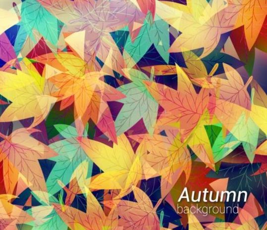 pattern leaves colored background autumn 