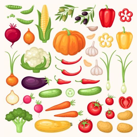 Various vagetables 