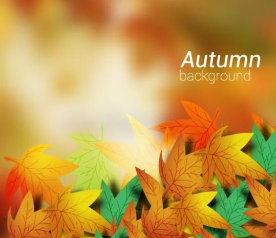 leaves colored blurred background autumn 